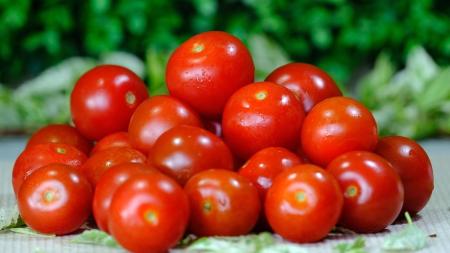 Tomates
