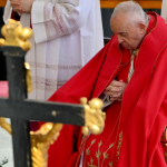 Papa Francisco pula homilia durante missa do Domingo de Ramos