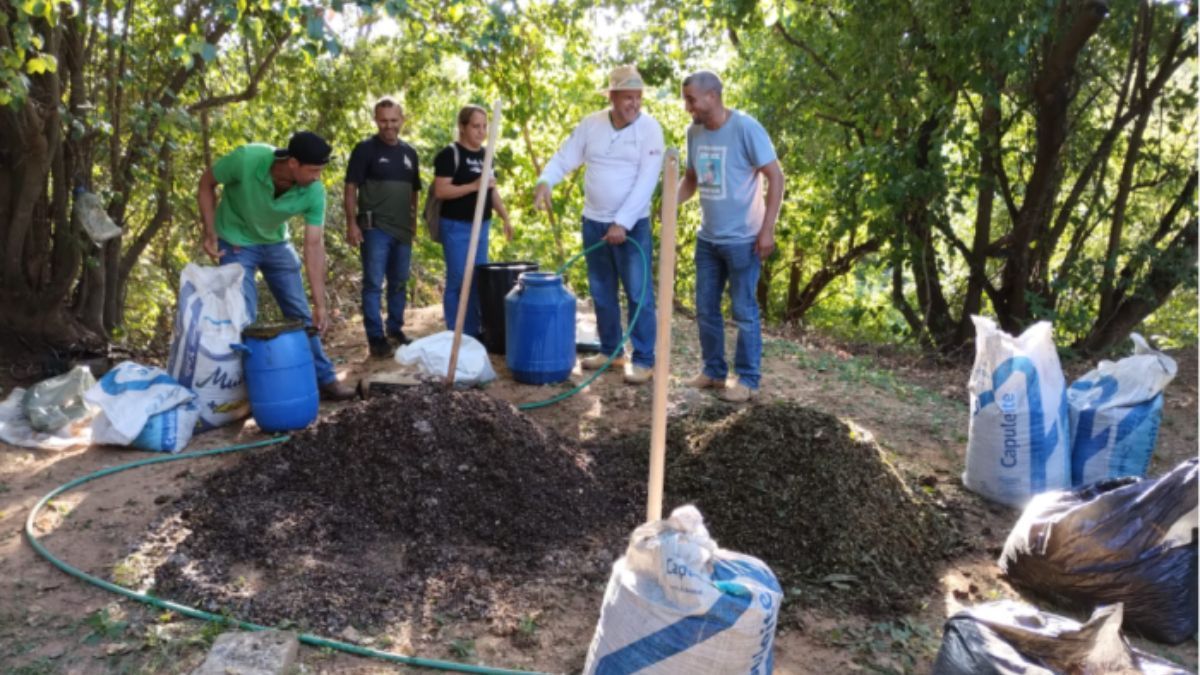 Emater-MG abre inscrições para cursos sobre agricultura sustentável; veja como se inscrever