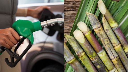 Vendas de etanol disparam em setembro: exportações saltam 235,7%