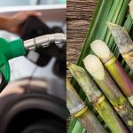 Indicador do etanol hidratado inicia fevereiro em queda no mercado paulista