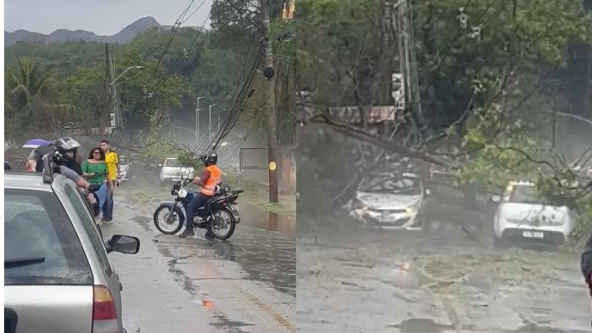 Árvores atingem dois carros durante chuva intensa na Grande BH