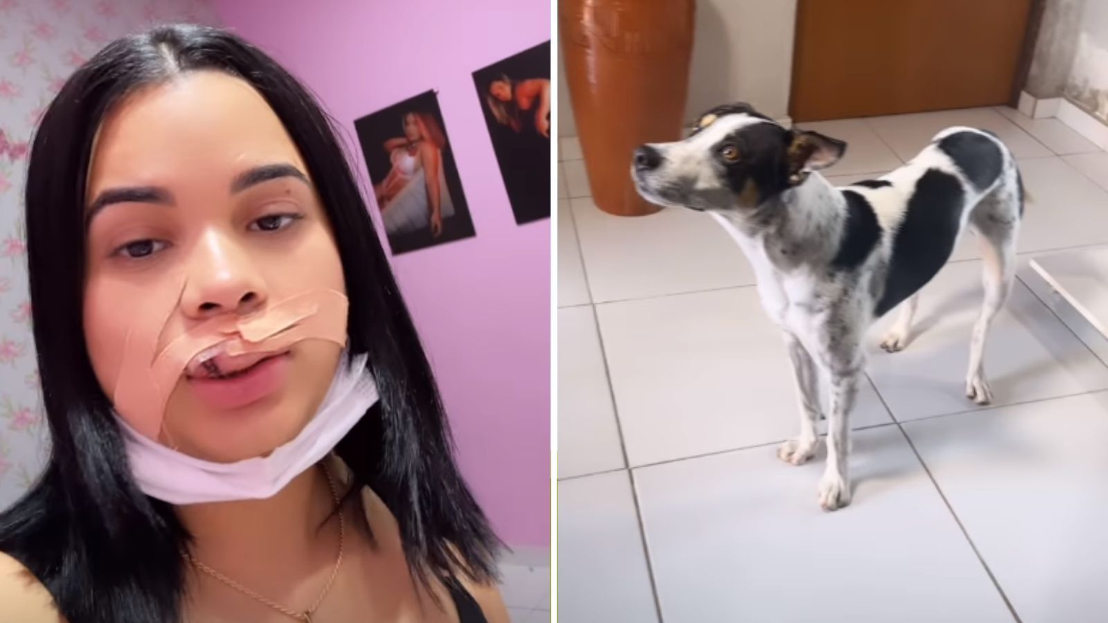 Modelo tentar beijar cachorro na boca e quase tem lábio arrancado