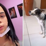 Modelo tentar beijar cachorro na boca e quase tem lábio arrancado
