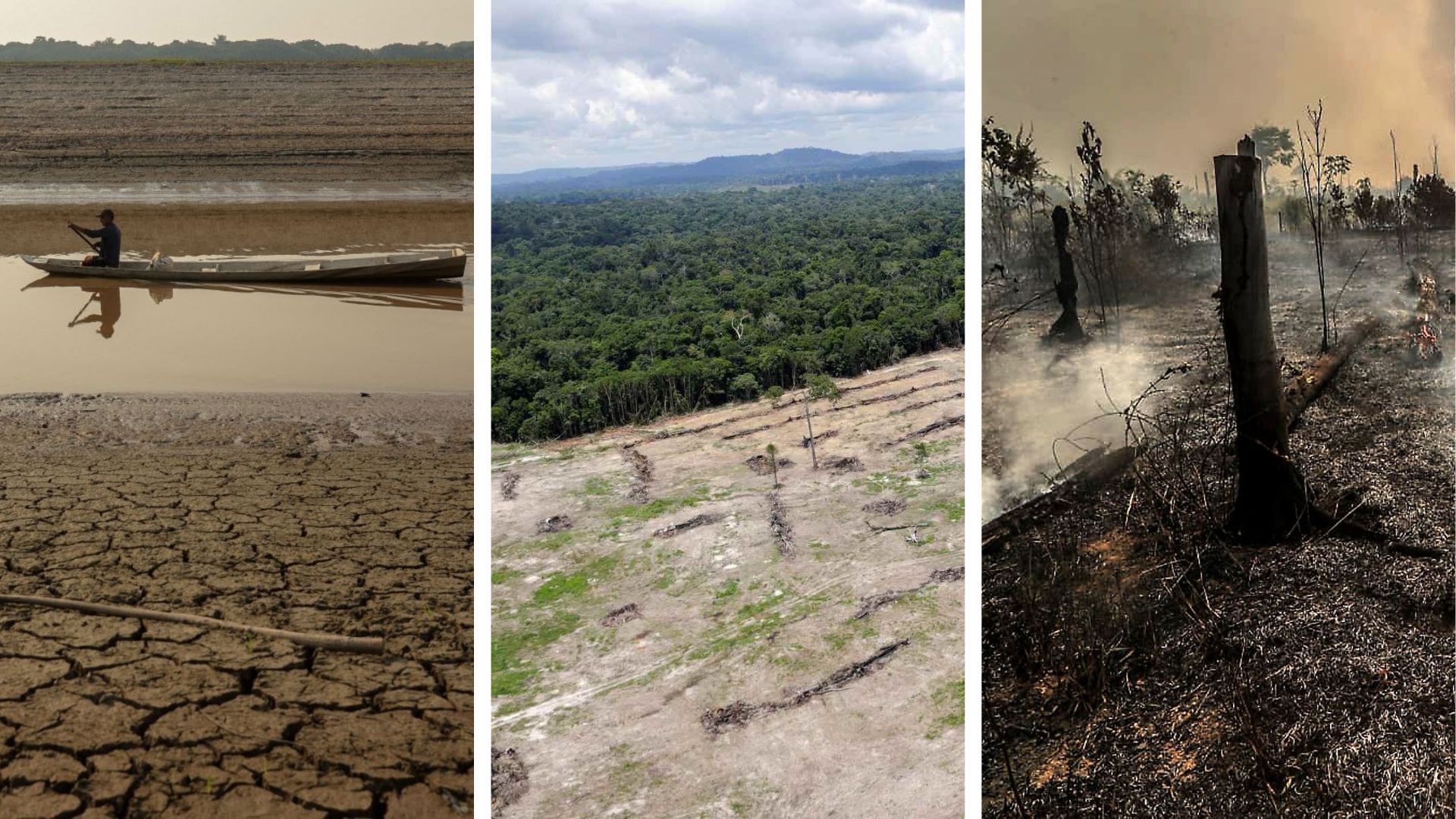 Emissão de gases do efeito estufa por queimadas na Amazônia cresce 60%