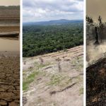 Emissão de gases do efeito estufa por queimadas na Amazônia cresce 60%