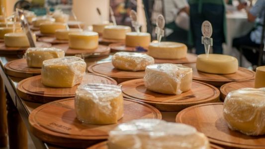 Queijos para concurso