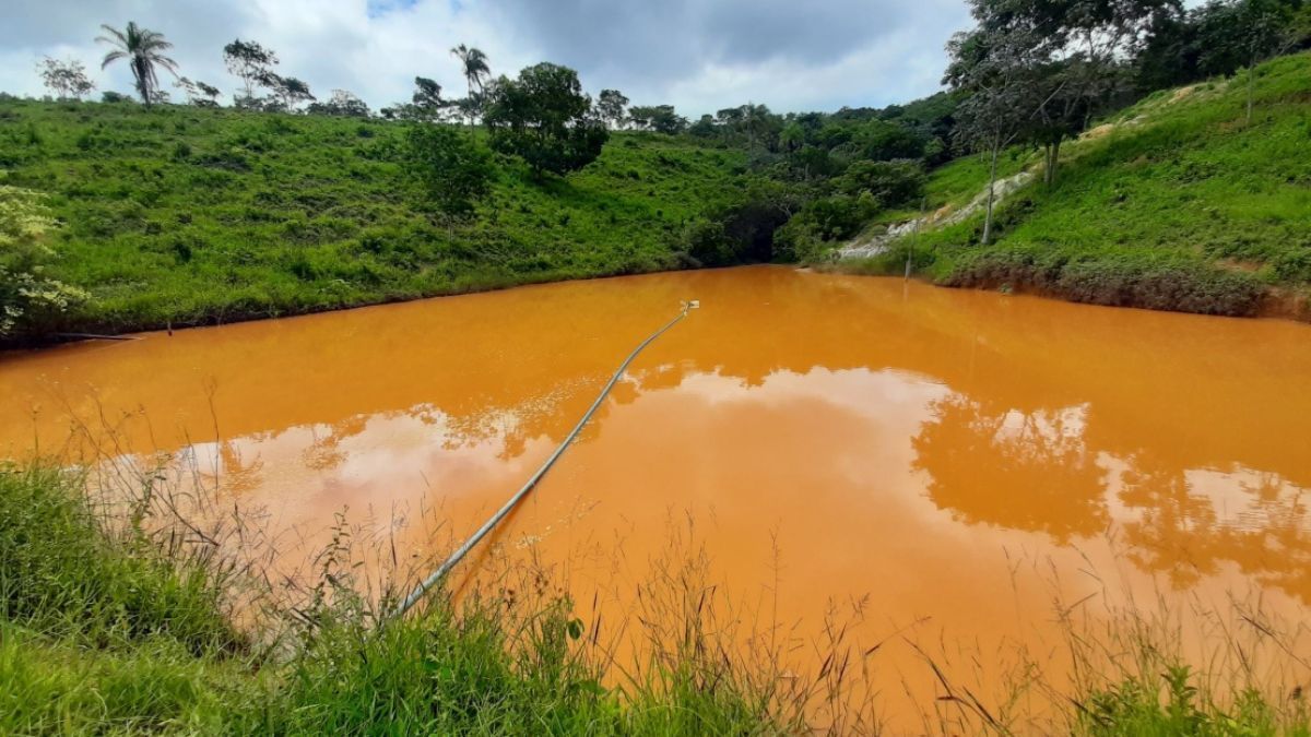 Barraginhas garantem produção de hortaliças no Norte de Minas