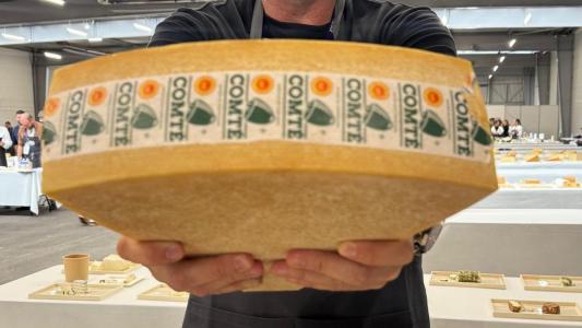 Queijo no mundial na França