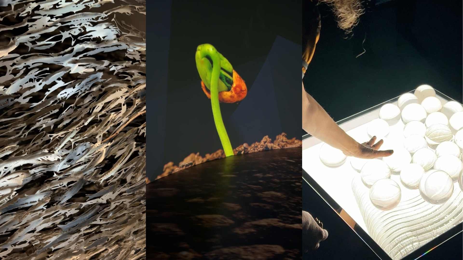 “Natureza Transformada”, na Casa Fiat, explora relação entre arte, ambiente e espaço