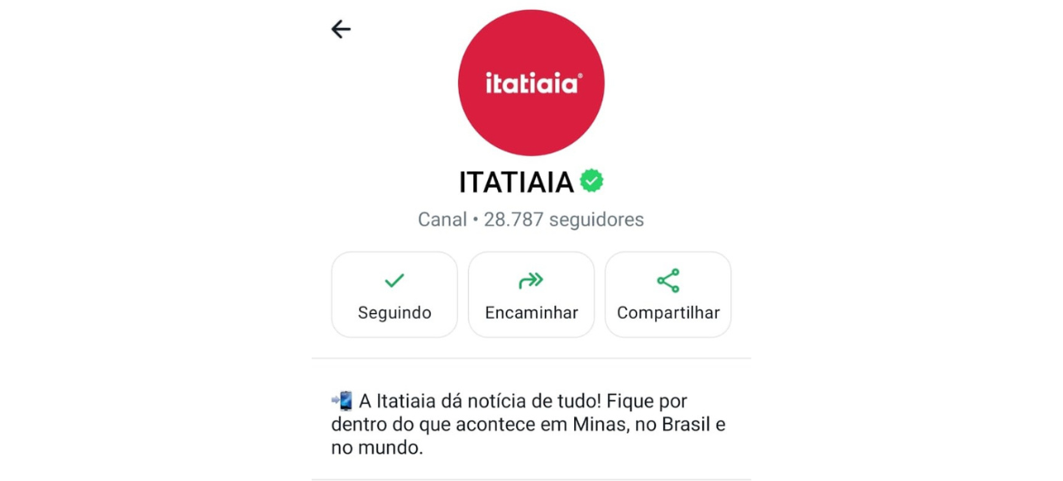 Canal da Itatiaia no WhatsApp: saiba como receber as principais notícias do dia no seu celular