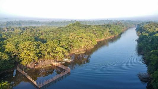 Desmatamento na Amazônia caiu 31%, segundo levantamento