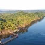 Desmatamento na Amazônia cai 31% enquanto cerrado sofre com aumento da destruição