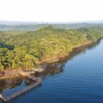 Desmatamento na Amazônia cai 31% enquanto cerrado sofre com aumento da destruição