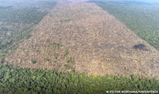 Em outubro, 72% do território da Amazônia Legal foi monitorado, por causa da cobertura de nuvens. Em outubro do ano anterior, o monitoramento abrangia 69% do território.