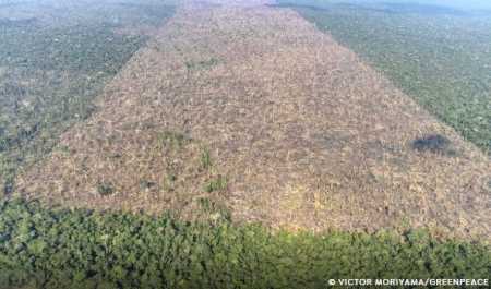 Em outubro, 72% do território da Amazônia Legal foi monitorado, por causa da cobertura de nuvens. Em outubro do ano anterior, o monitoramento abrangia 69% do território.