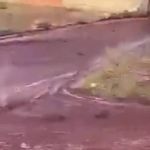 'Enchente' de vinho inunda ruas de Portugal após depósito se romper; veja vídeo