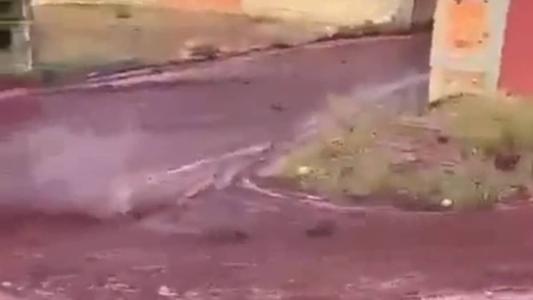 Destilaria se responsabilizou por eventuais danos estruturais após enchente de vinho