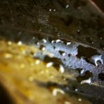 Tecnologia invisível: como a engenharia de superfícies vence a guerra contra o desgaste