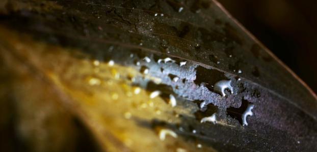 Brocas de furadeira possuem revestimento para resistir ao calor derivado do atrito com metais