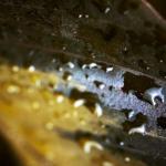 Tecnologia invisível: como a engenharia de superfícies vence a guerra contra o desgaste