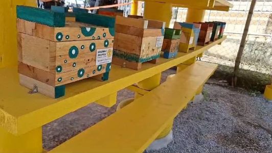 Detalhe do Melipoinário no Parque das Mangabeiras