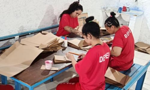 detentas projeto sacolas penitenciaria juiz de fora