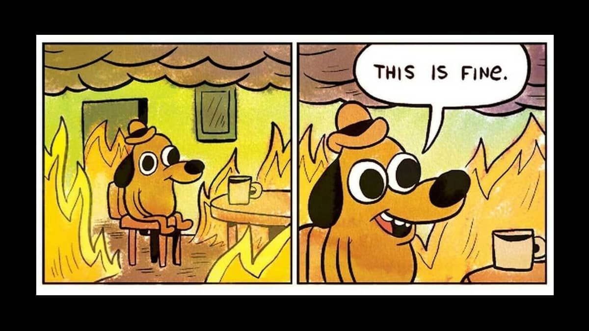 Aos 10 anos de idade, meme 'This Is fine' continua atual