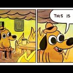 Aos 10 anos de idade, meme 'This Is fine' continua atual