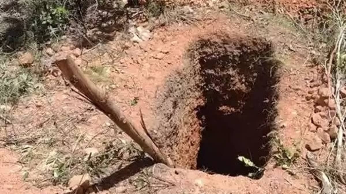 Dez pessoas de uma família são autuadas em mais de R$ 200 mil por garimpo ilegal no norte de Minas