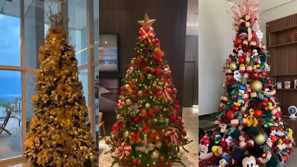 Aluguel de árvores de Natal pode chegar a quase R$ 15 mil em BH