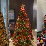 Aluguel de árvores de Natal pode chegar a quase R$ 15 mil em BH