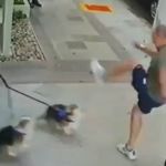 Vídeo: Polícia identifica homem que atacou irmã de Zanin em São Paulo