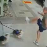 Vídeo: Polícia identifica homem que atacou irmã de Zanin em São Paulo