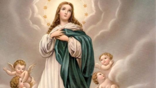 Dia 8 de dezembro é comemorado o dia de Nossa Senhora da Conceição ou Imaculada