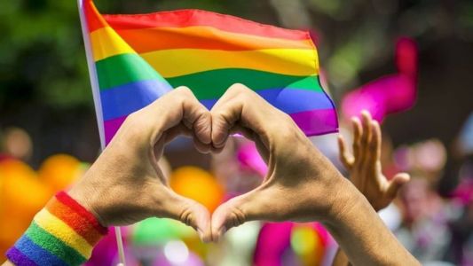 Dia do Orgulho LGBTQIAPN+ é comemorado no dia 28 de junho