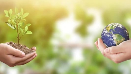 Dia Mundial do Meio Ambiente (05/06)