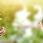 E o meio ambiente, como fica?