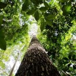 A conscientização é fundamental