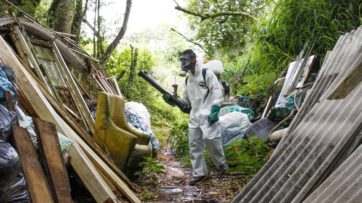 Diagnósticos de dengue não estão sendo feitos a tempo, alerta infectologista