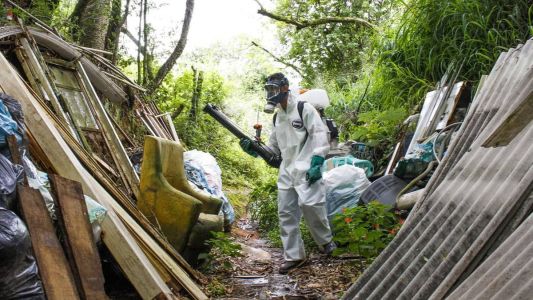 Diagnósticos de dengue não estão sendo feitos a tempo, alerta infectologista.
