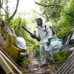 Diagnósticos de dengue não estão sendo feitos a tempo, alerta infectologista