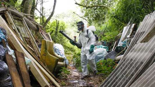 Diagnósticos de dengue não estão sendo feitos a tempo, alerta infectologista.