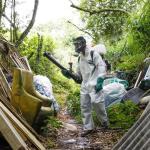 Diagnósticos de dengue não estão sendo feitos a tempo, alerta infectologista