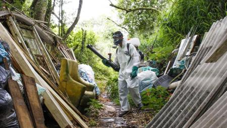 Diagnósticos de dengue não estão sendo feitos a tempo, alerta infectologista.