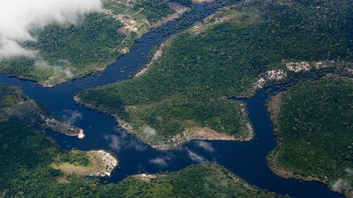 Prévia da Cúpula da Amazônia, que reunirá representantes de 8 países, começa nesta sexta (4) em Belém