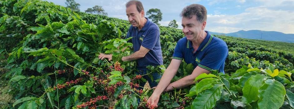 Minas aumentou em 4.000% as exportações de café para a China; entenda