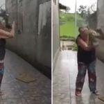 Vídeo: Idosa de 80 anos é acusada de maus tratos contra papagaio de 40 anos