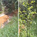 PBH interdita empresa autuada por despejar resíduos industriais no córrego Olaria