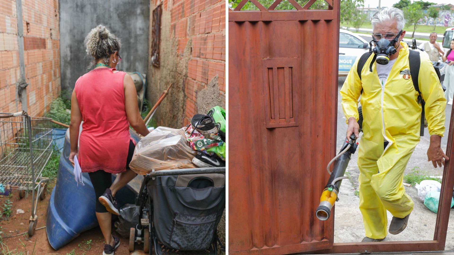 Entenda porque Brasil atingiu número recorde de dengue em 2024